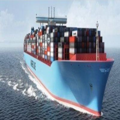 广州南沙进口报关代理服务详解 专业高效的贸易解决方案